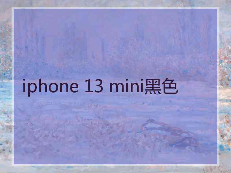 iphone 13 mini黑色