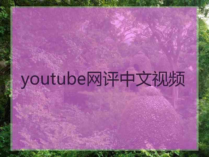 youtube网评中文视频