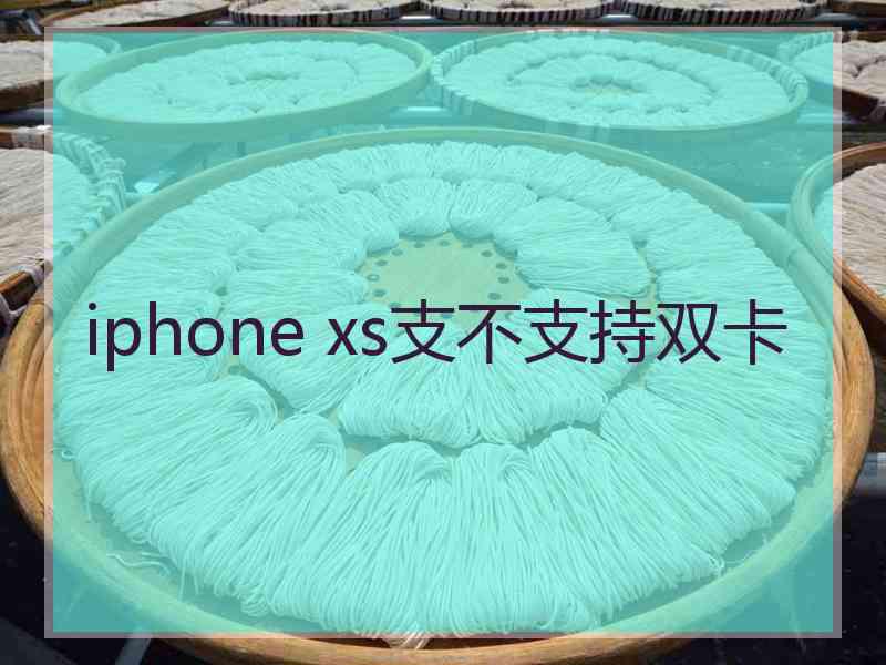 iphone xs支不支持双卡