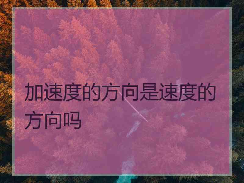 加速度的方向是速度的方向吗