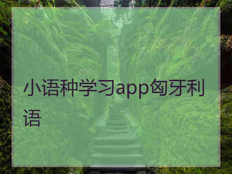 小语种学习app匈牙利语