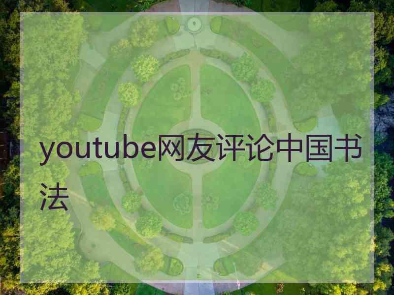 youtube网友评论中国书法