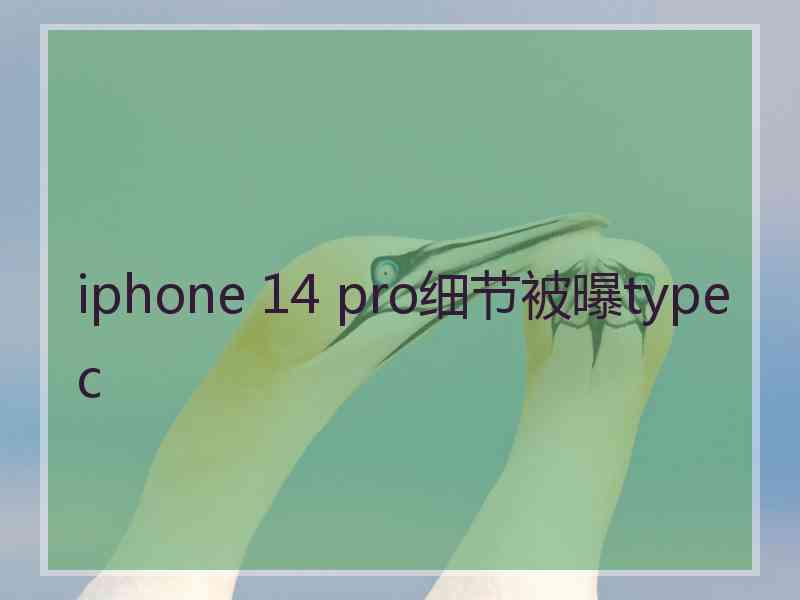 iphone 14 pro细节被曝typec