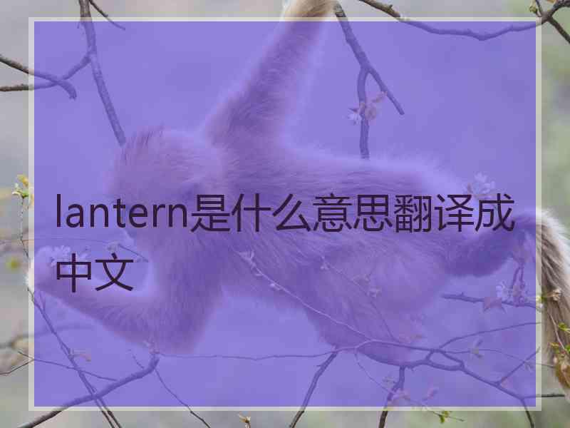 lantern是什么意思翻译成中文