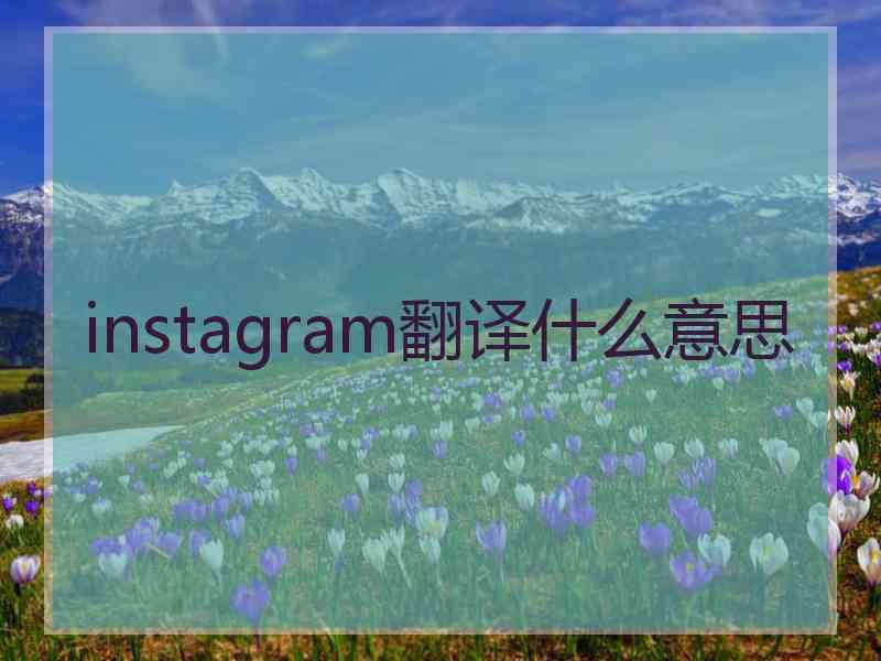 instagram翻译什么意思