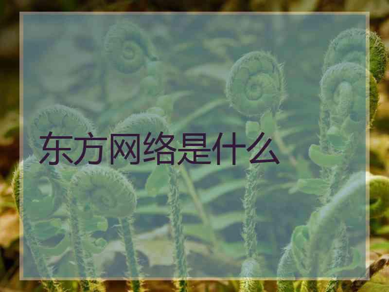 东方网络是什么