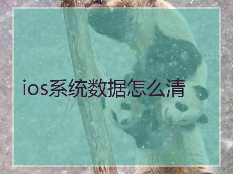 ios系统数据怎么清