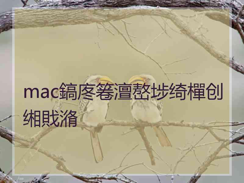 mac鎬庝箞澶嶅埗绮樿创缃戝潃