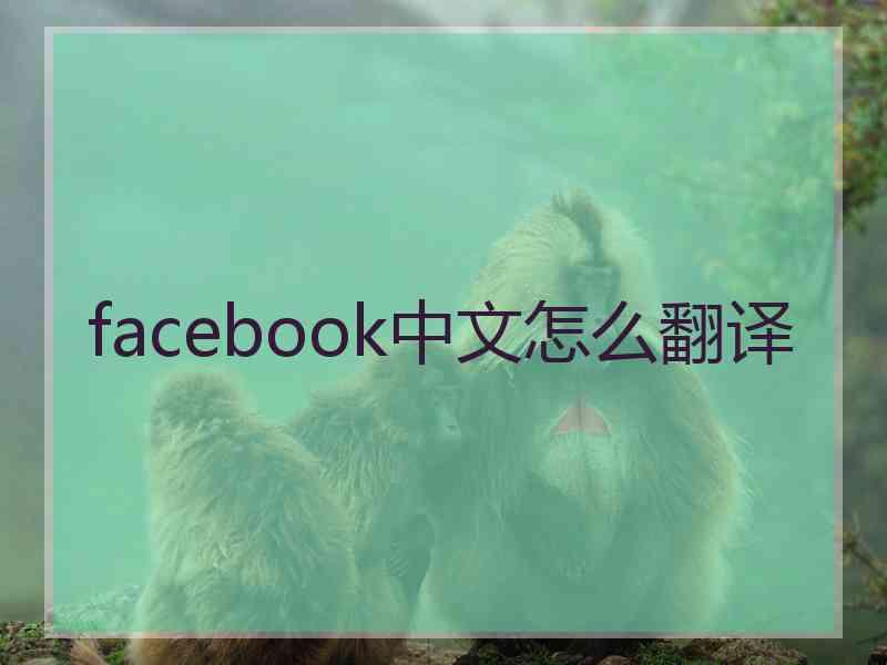 facebook中文怎么翻译