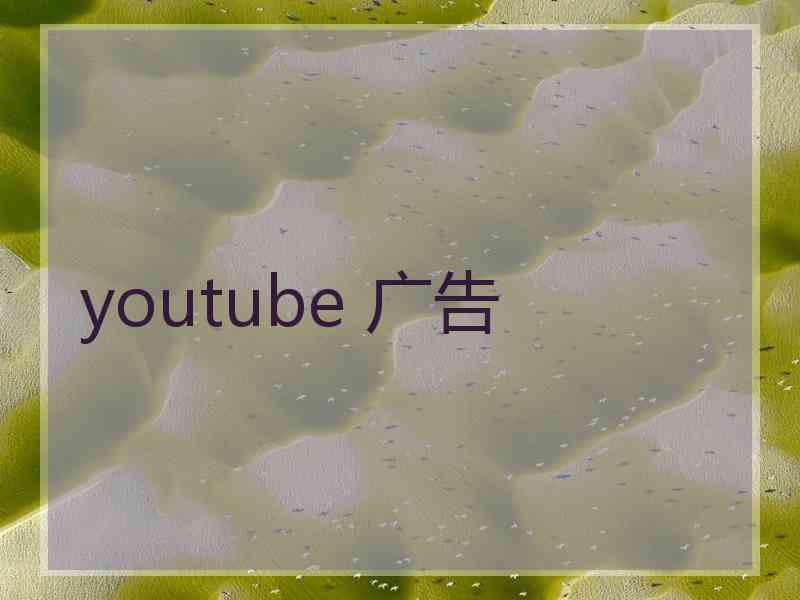 youtube 广告