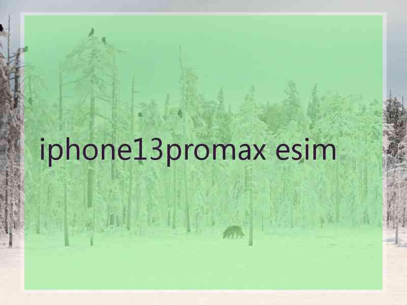 iphone13promax esim