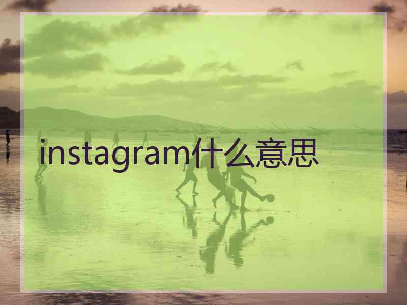 instagram什么意思