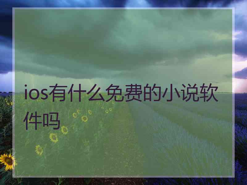 ios有什么免费的小说软件吗