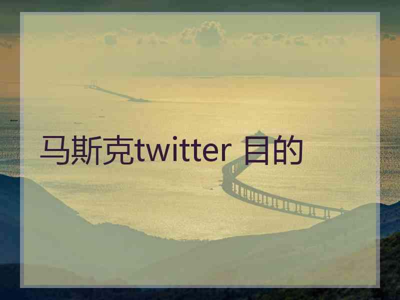 马斯克twitter 目的