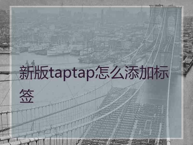 新版taptap怎么添加标签