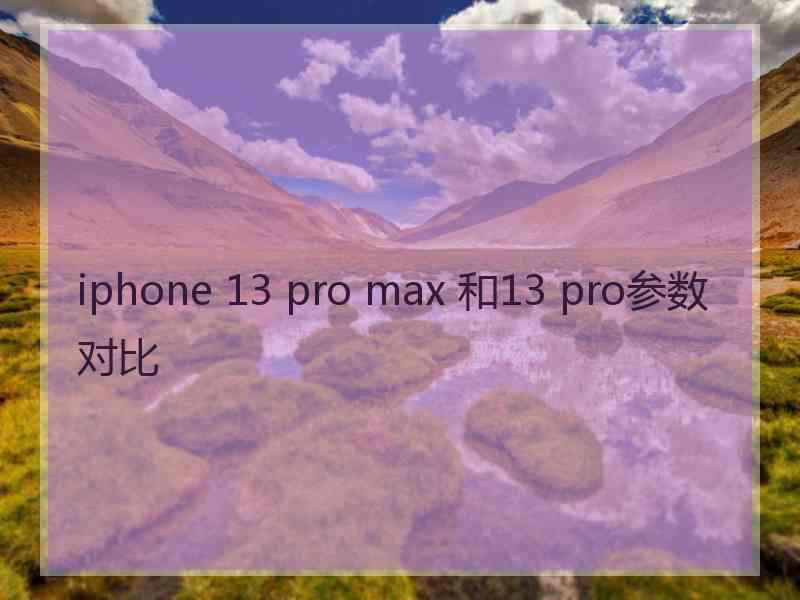 iphone 13 pro max 和13 pro参数对比