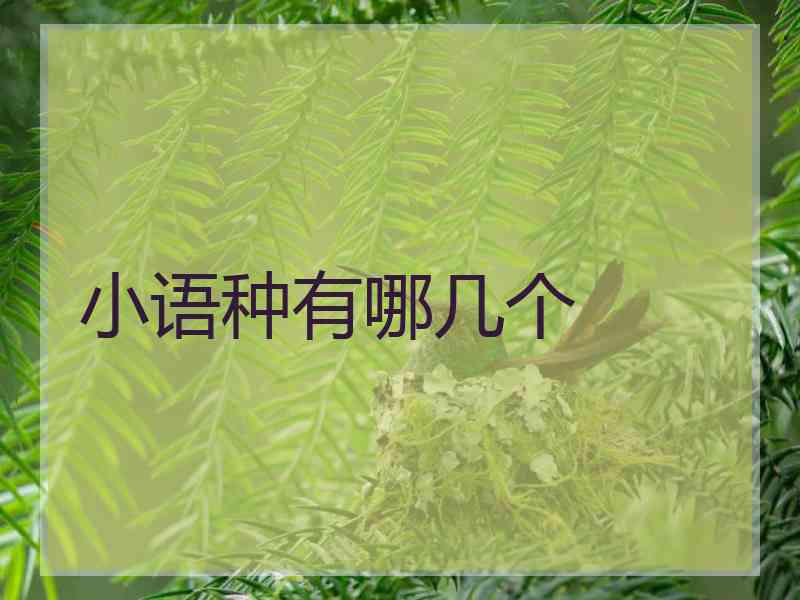 小语种有哪几个