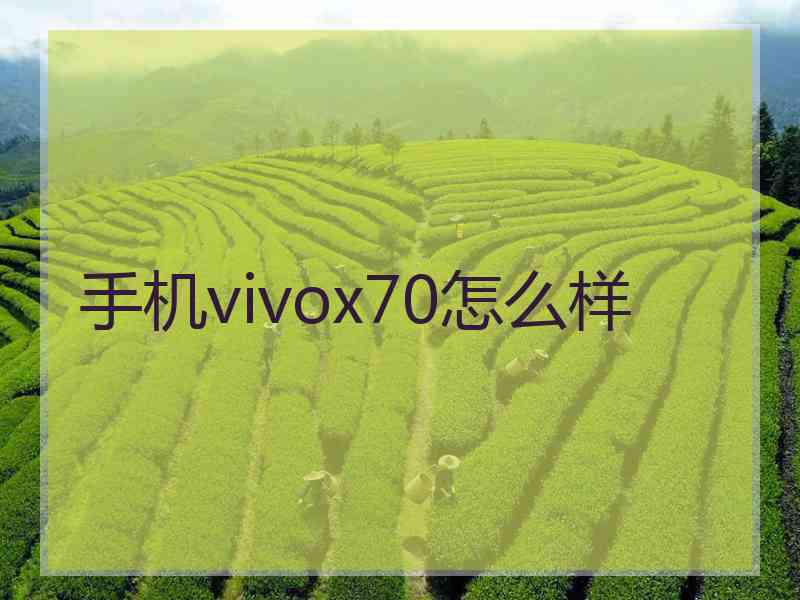 手机vivox70怎么样