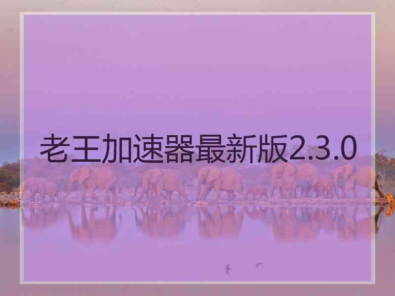 老王加速器最新版2.3.0