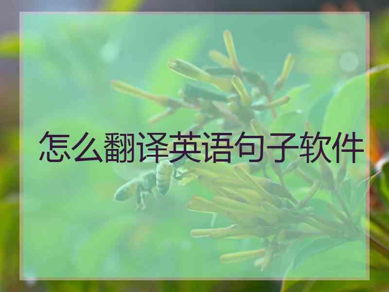 怎么翻译英语句子软件