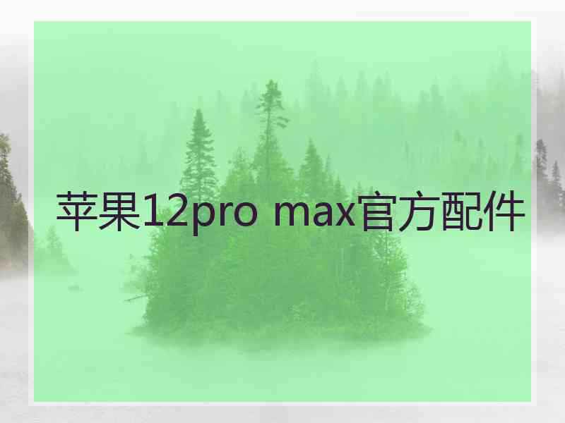 苹果12pro max官方配件