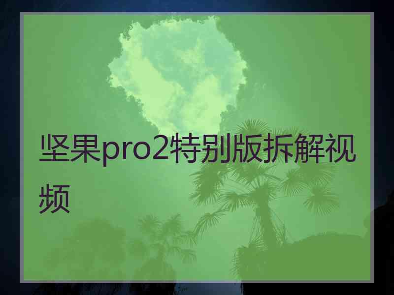 坚果pro2特别版拆解视频