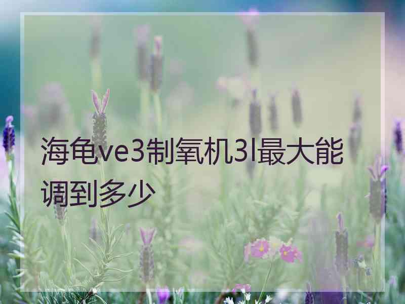 海龟ve3制氧机3l最大能调到多少