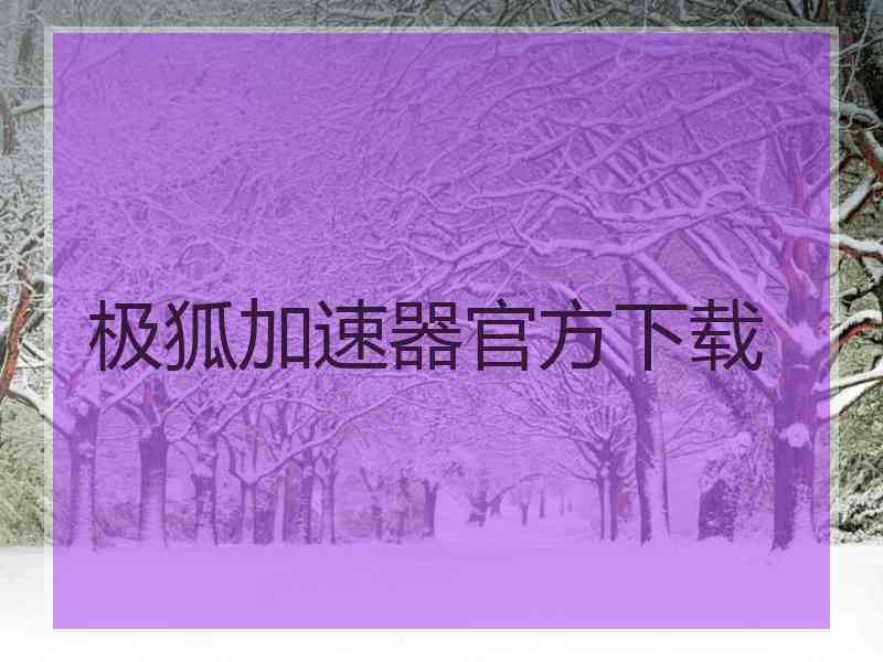 极狐加速器官方下载