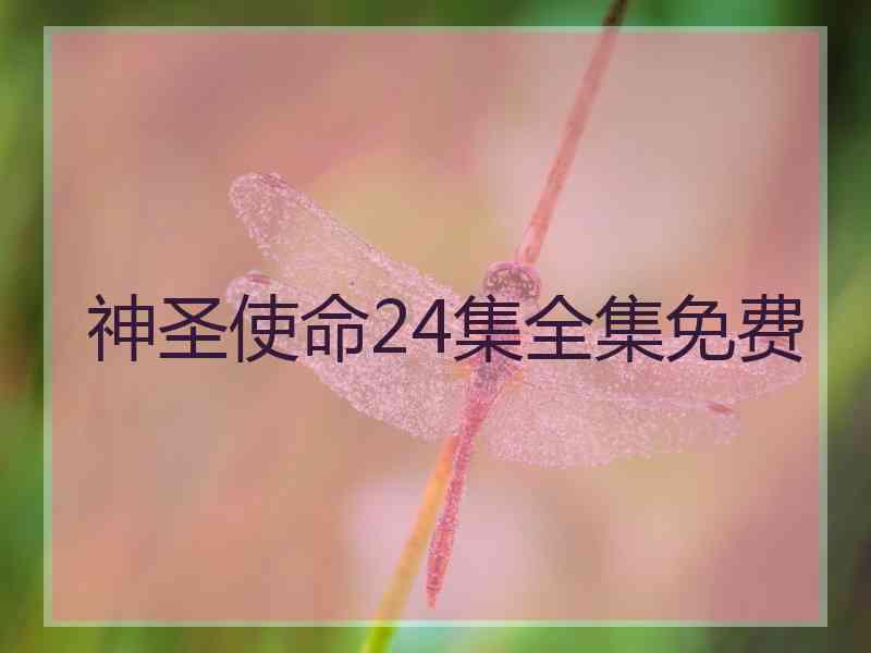 神圣使命24集全集免费