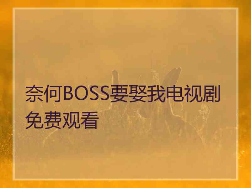 奈何BOSS要娶我电视剧免费观看