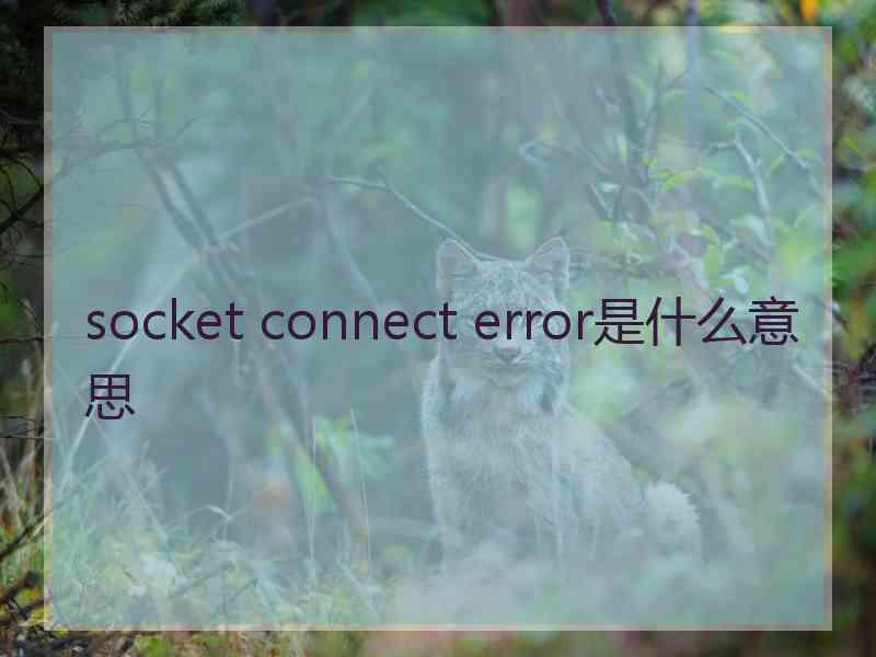 socket connect error是什么意思