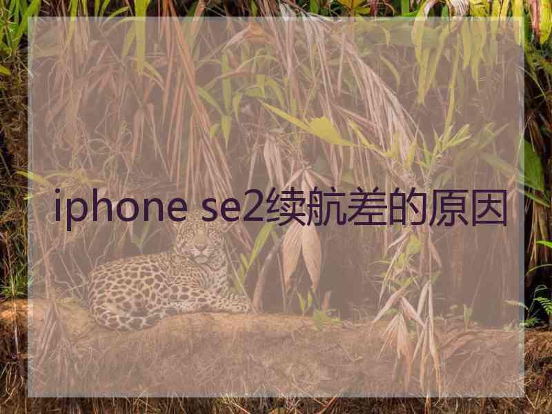 iphone se2续航差的原因