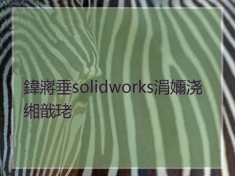 鍏嶈垂solidworks涓嬭浇缃戠珯