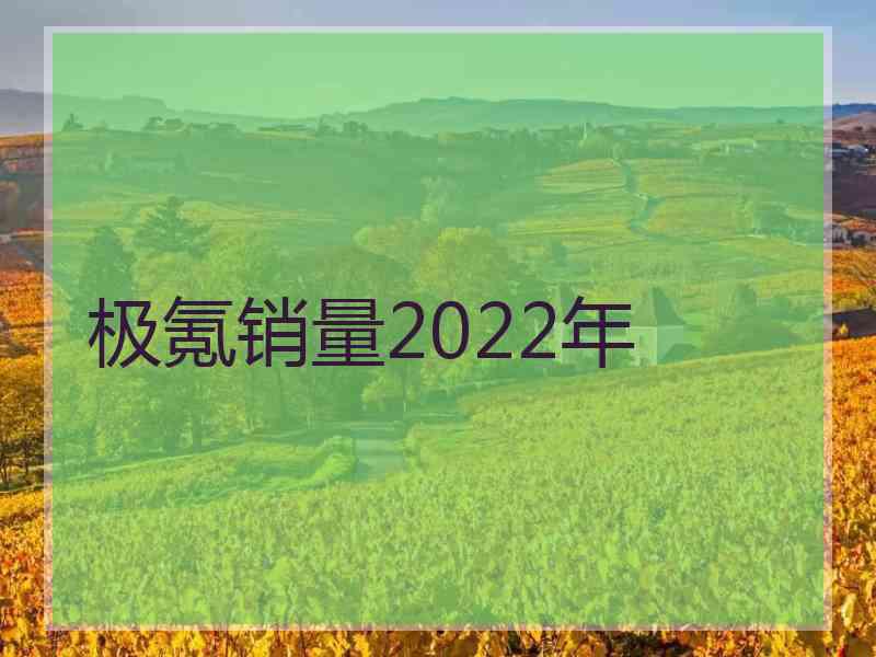 极氪销量2022年