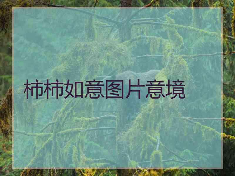 柿柿如意图片意境