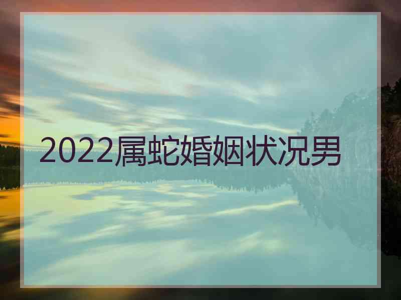 2022属蛇婚姻状况男