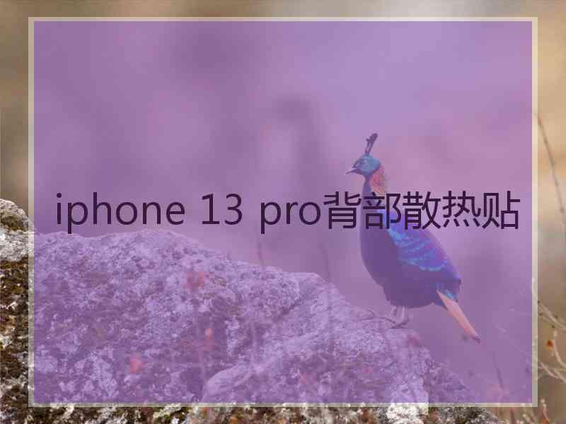 iphone 13 pro背部散热贴