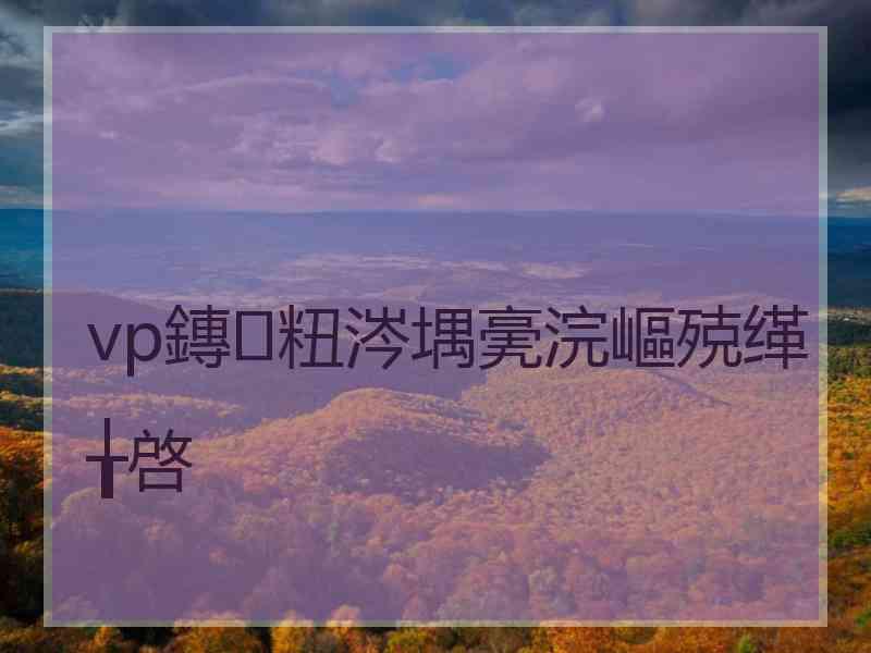 vp鏄粈涔堣亴浣嶇殑缂╁啓