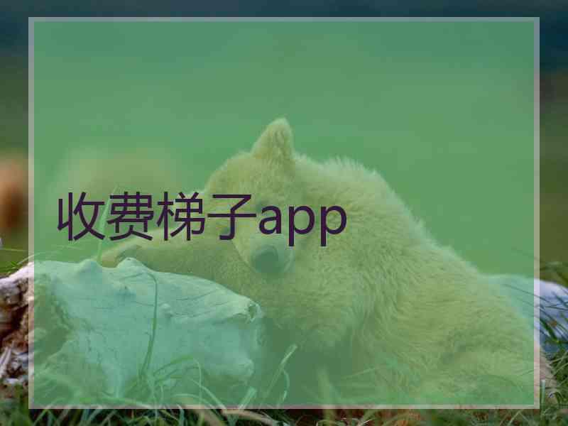 收费梯子app