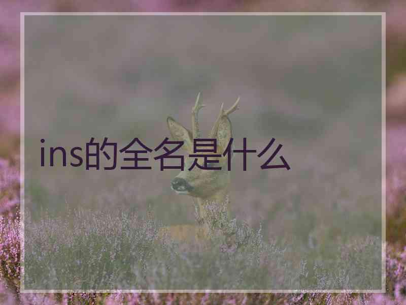 ins的全名是什么