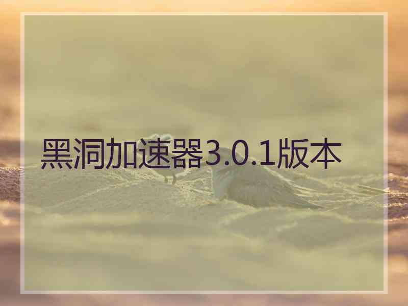 黑洞加速器3.0.1版本