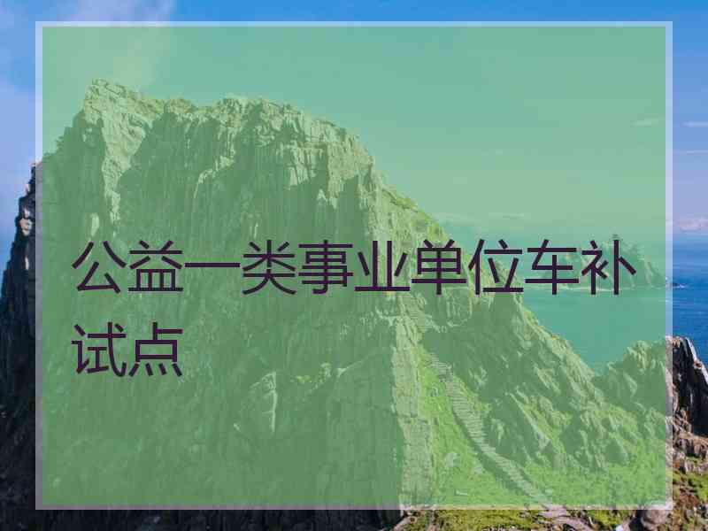 公益一类事业单位车补试点