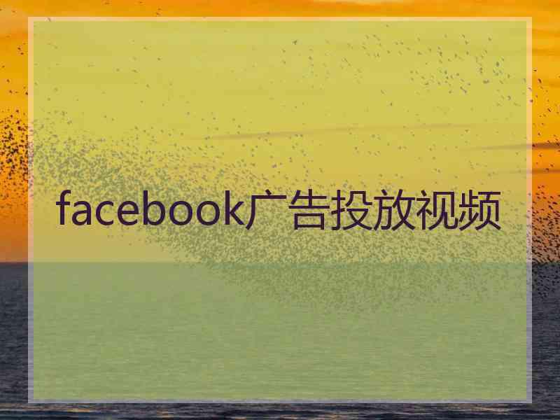 facebook广告投放视频