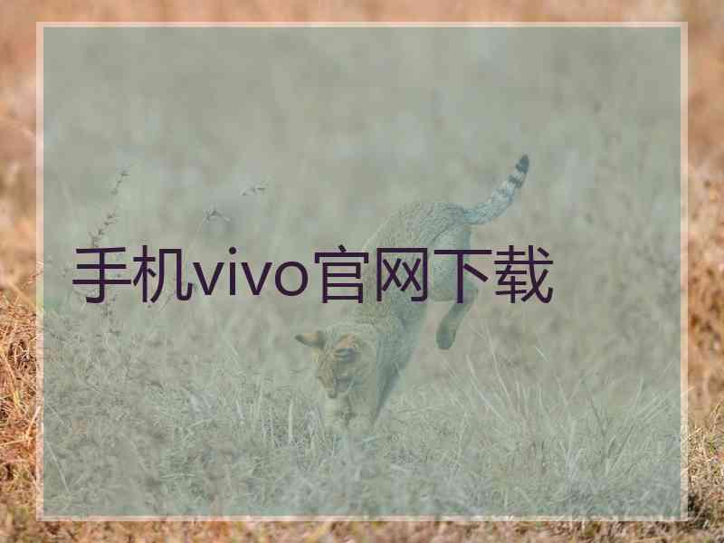 手机vivo官网下载