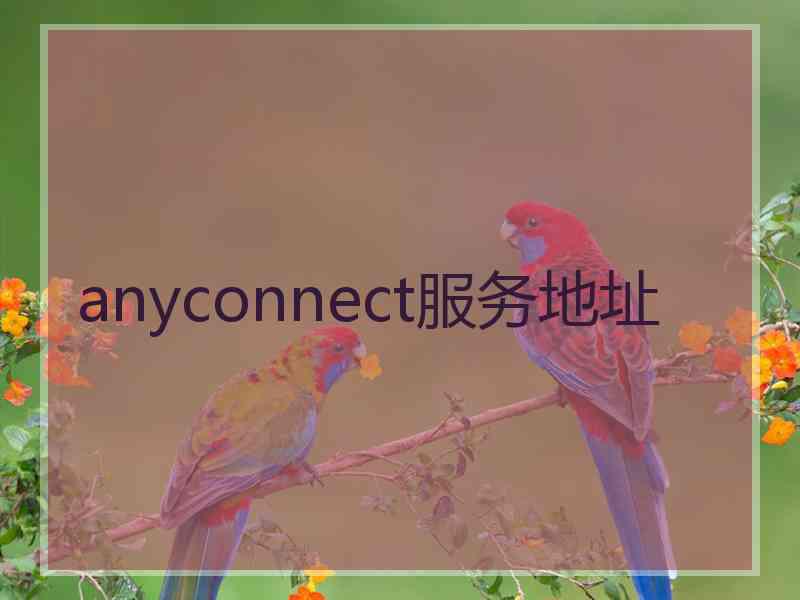 anyconnect服务地址