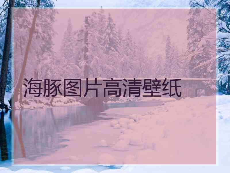 海豚图片高清壁纸