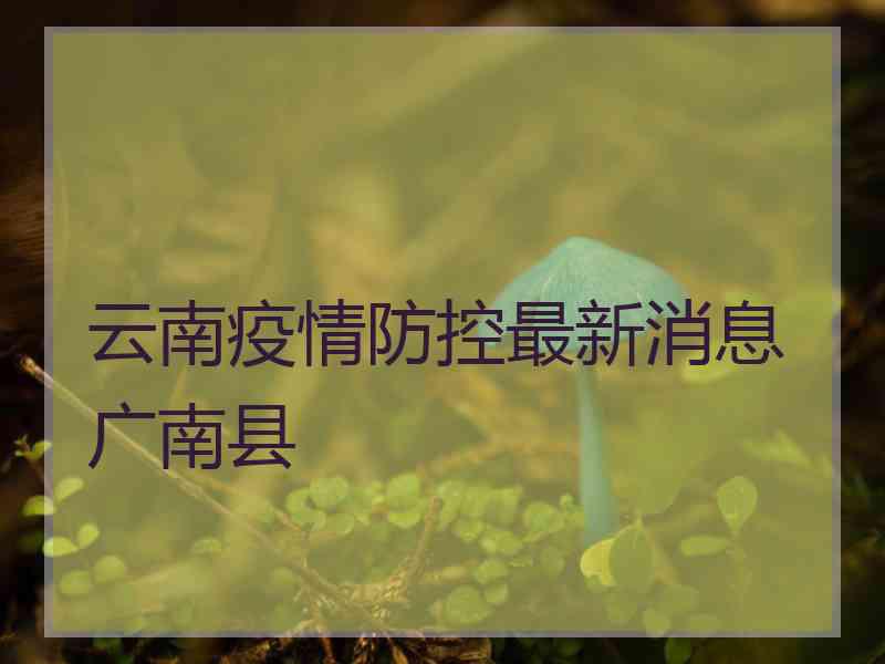 云南疫情防控最新消息广南县