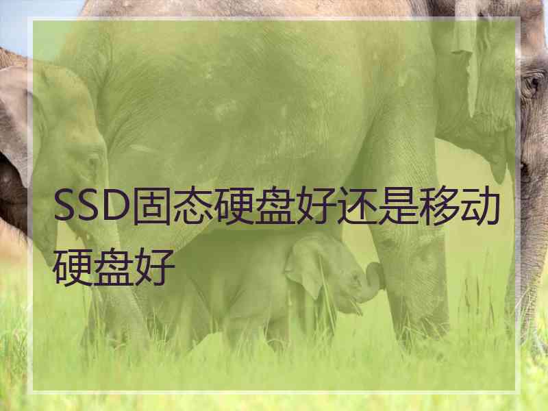 SSD固态硬盘好还是移动硬盘好