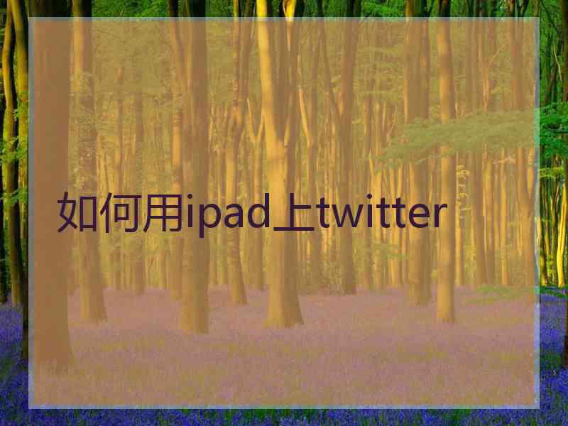 如何用ipad上twitter