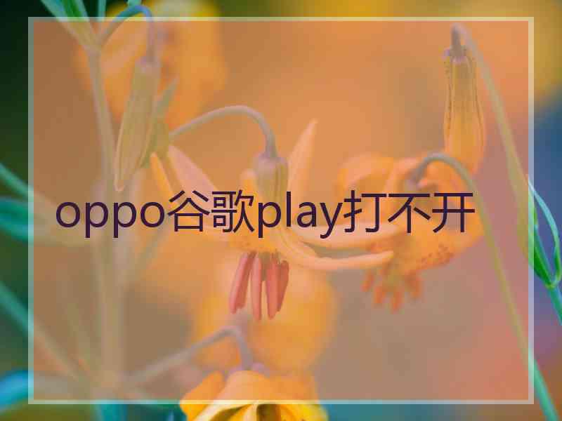 oppo谷歌play打不开